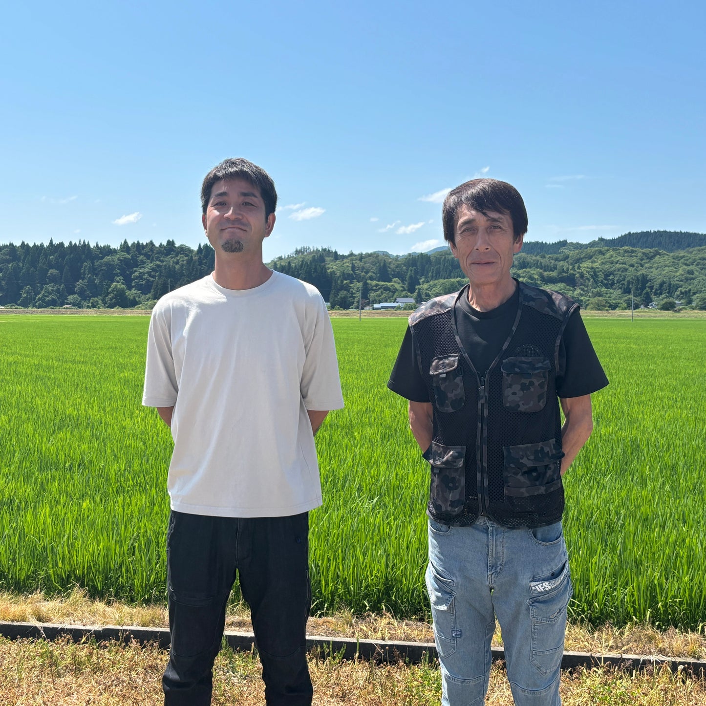 秋田県産あきたこまち【定期便】