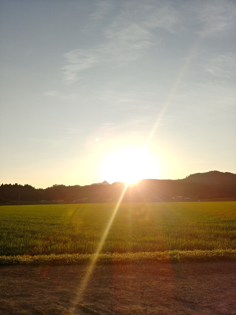 秋田県産あきたこまち【定期便】