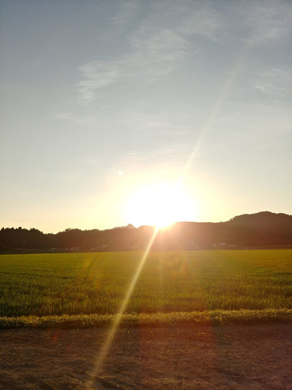 秋田県産あきたこまち【定期便】