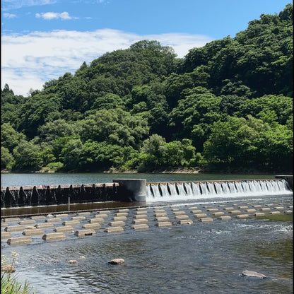 秋田県産あきたこまち【定期便】